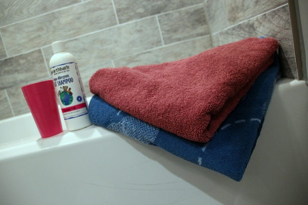 Supplies to bath your cat